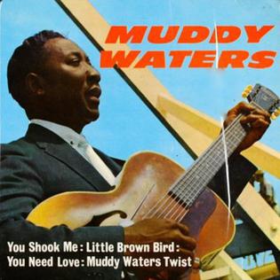 Muddy Waters — You Shook Me cover artwork