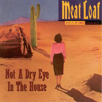 Meat Loaf Not a Dry Eye in the House cover artwork