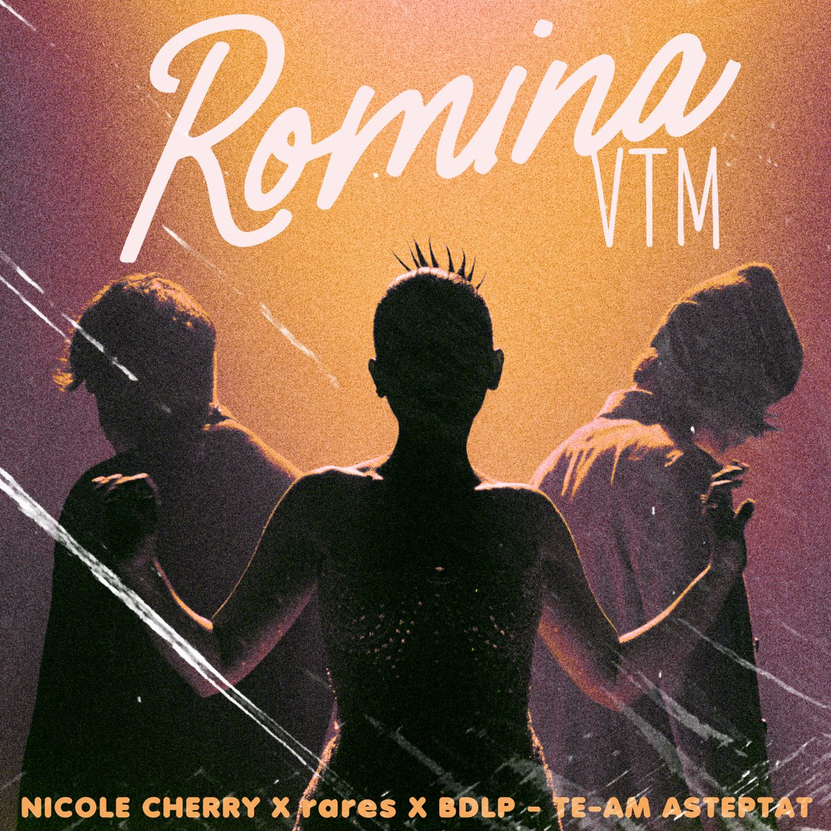 Nicole Cherry, rares, & Bogdan DLP — Te-am Așteptat cover artwork
