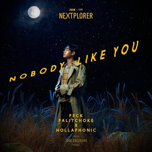 Peck Palitchoke featuring Hollaphonic — Nobody Like You cover artwork