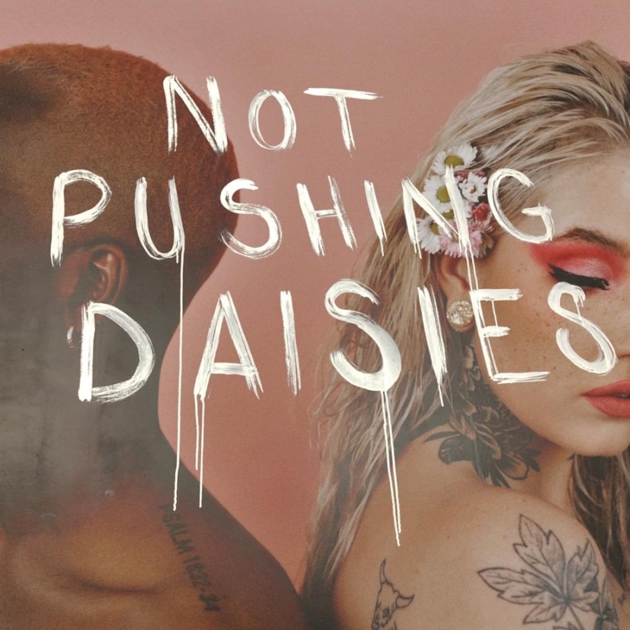 Ängie — Not Pushing Daisies cover artwork