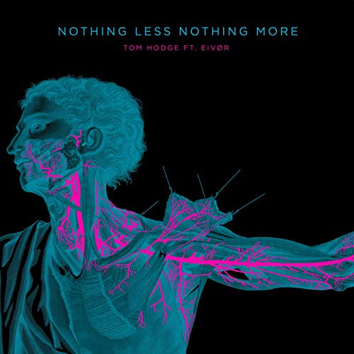 Tom Hodge featuring Eivør — Nothing Less Nothing More cover artwork