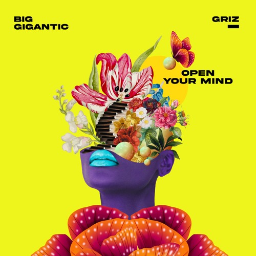Big Gigantic & GRiZ — Open Your Mind cover artwork
