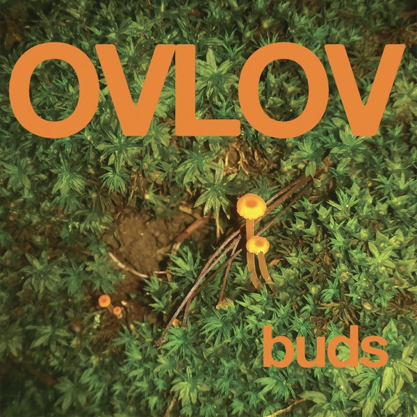 Ovlov — Strokes cover artwork