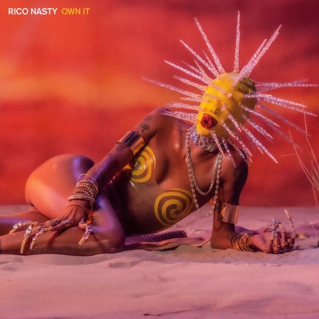 Rico Nasty Own It cover artwork