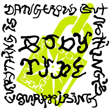 Body Type Everything Is Dangerous But Nothing&#039;s Surprising cover artwork