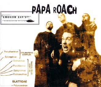 Papa Roach Last Resort cover artwork