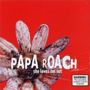 Papa Roach She Loves Me Not cover artwork