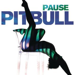 Pitbull — Pause cover artwork