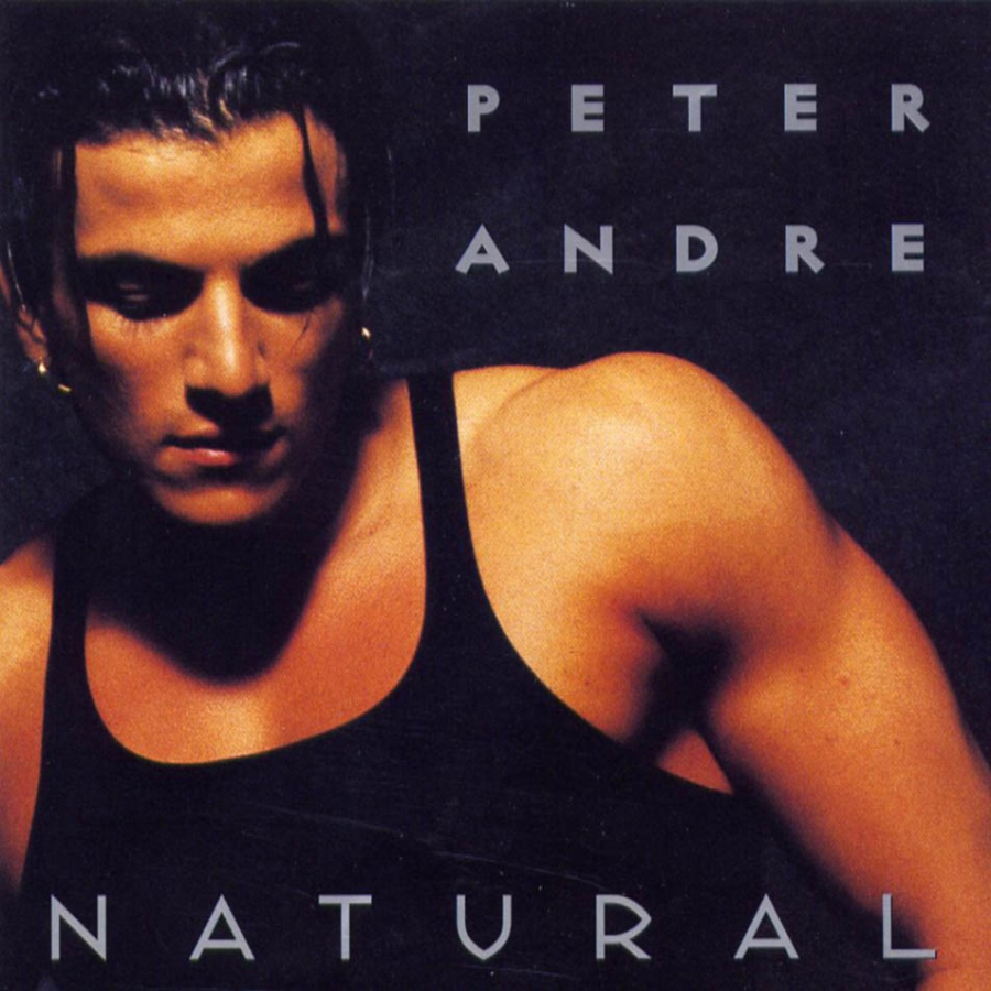 Peter Andre — I Feel You cover artwork