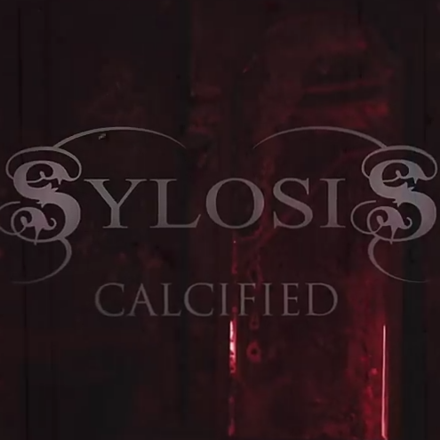 Sylosis — Calcified cover artwork
