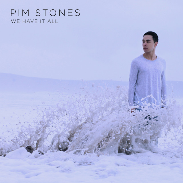 Pim Stones — We Have It All cover artwork