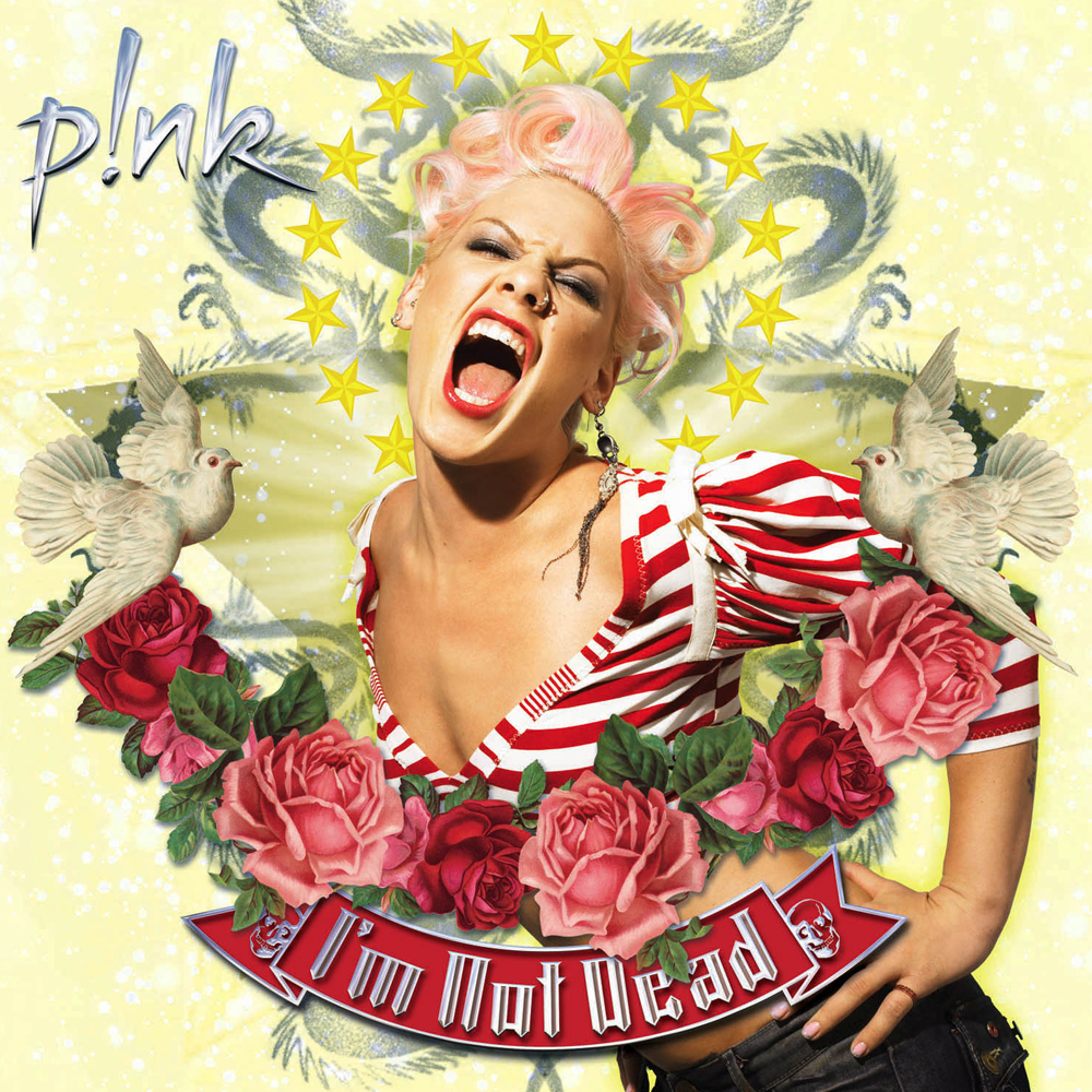 P!nk featuring Jim Moore — I Have Seen the Rain cover artwork