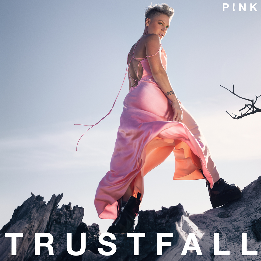 P!nk featuring The Lumineers — Long Way to Go cover artwork
