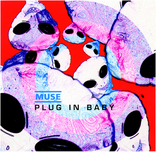 Muse — Spiral Static cover artwork