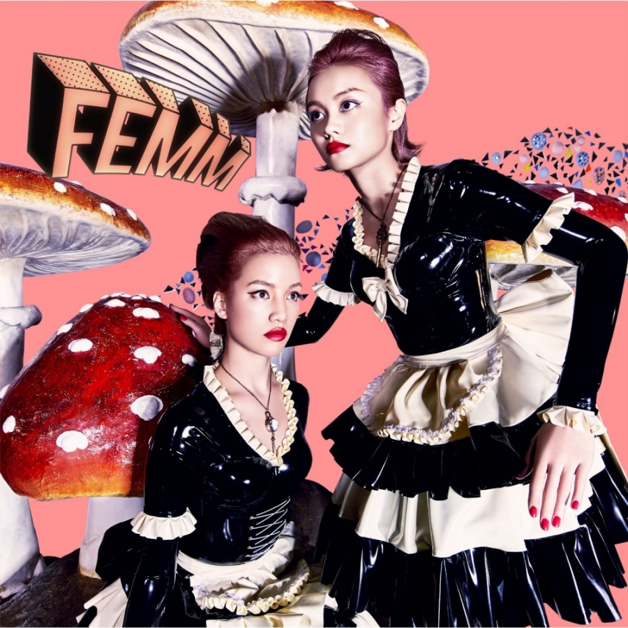 FEMM — L.C.S. cover artwork