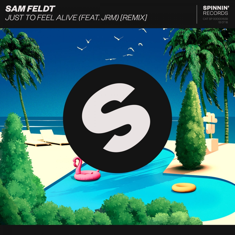 Sam Feldt ft. featuring JRM Just To Feel Alive (Remix) cover artwork