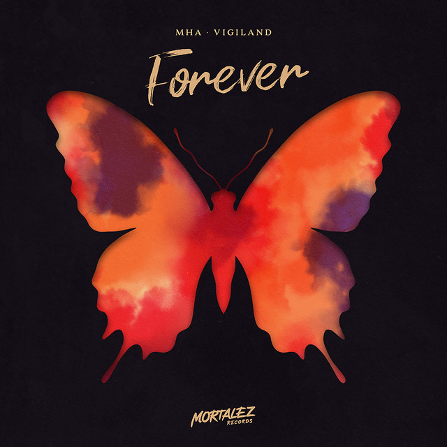 mha & Vigiland Forever cover artwork