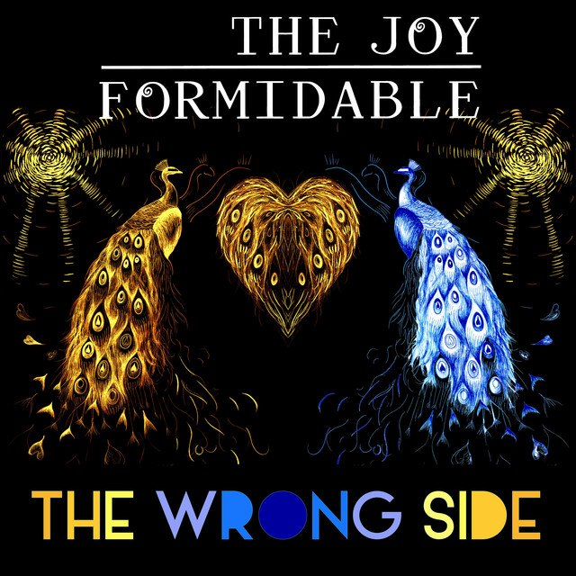 The Joy Formidable — The Wrong Side cover artwork