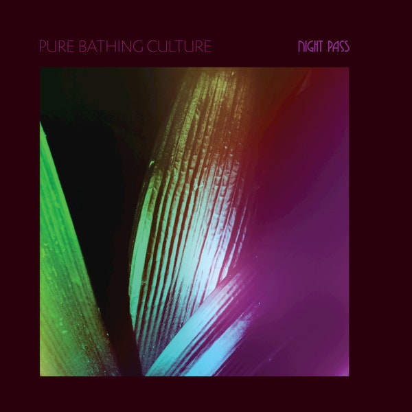 Pure Bathing Culture — Black Starling cover artwork