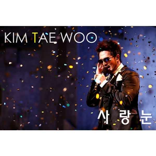 Kim Tae Woo — 사랑눈 cover artwork