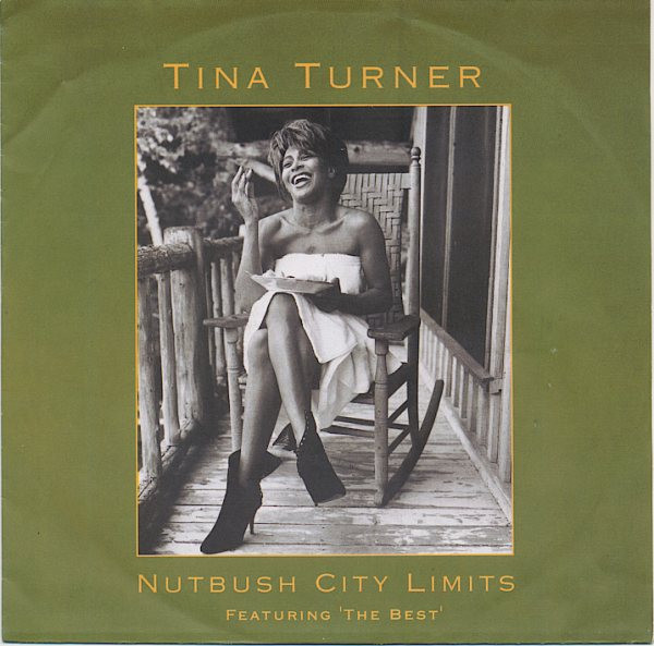 Tina Turner — Nutbush City Limits (90&#039;s remix) cover artwork