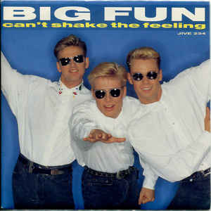 Big Fun — Can&#039;t Shake the Feeling cover artwork