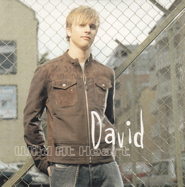 David Pedersen — Wild At Heart cover artwork