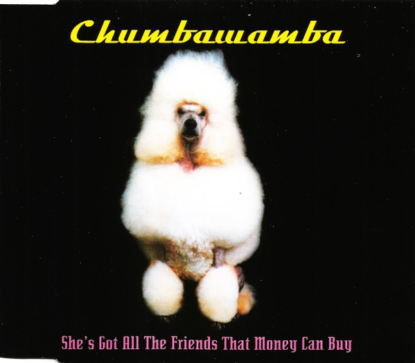 Chumbawamba — She&#039;s Got All the Friends That Money Can Buy cover artwork