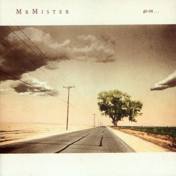 Mr. Mister Go On... cover artwork