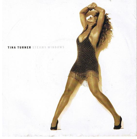 Tina Turner — Steamy Windows cover artwork