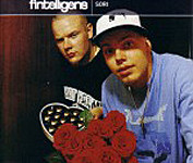 Fintelligens — Sori cover artwork