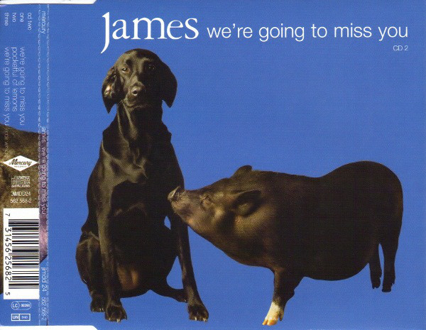 James We&#039;re Going to Miss You cover artwork