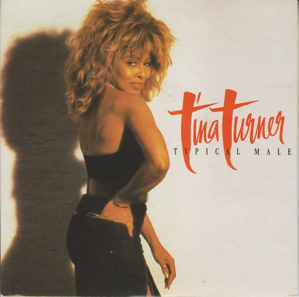 Tina Turner — Typical Male cover artwork
