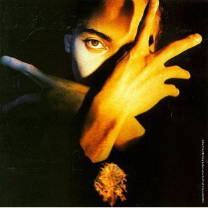 Terence Trent D&#039;Arby Terence Trent D&#039;Arby&#039;s Neither Fish Nor Flesh: A Soundtrack of Love, Faith, Hope, and Destruction cover artwork