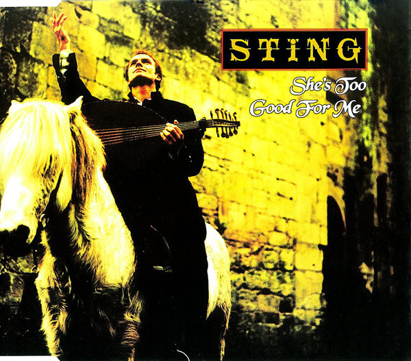 Sting — She&#039;s Too Good for Me cover artwork