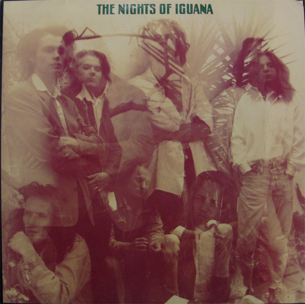 The Nights of Iguana — She Must Be in the Air cover artwork