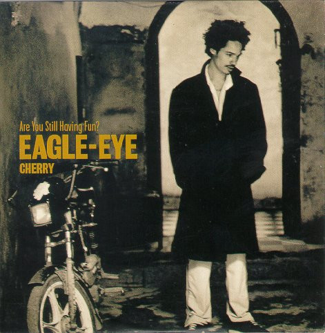 Eagle-Eye Cherry — Are You Still Having Fun? cover artwork