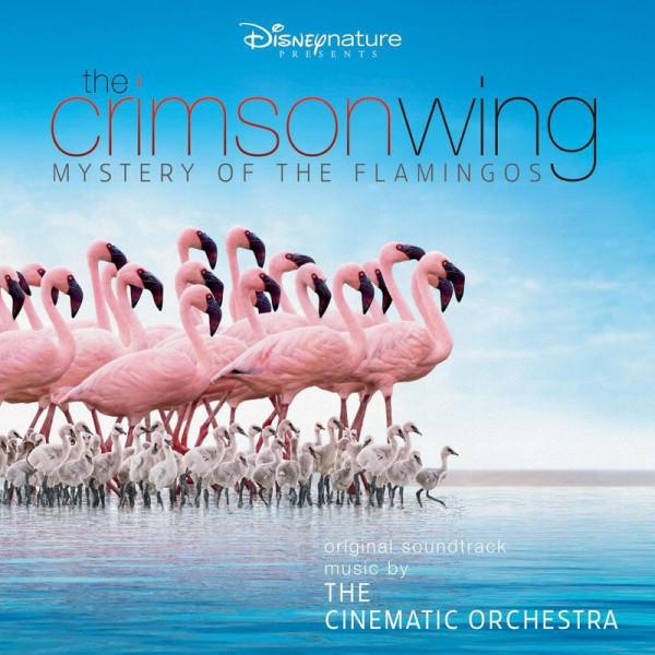 The Cinematic Orchestra The Crimson Wing: Mystery of the Flamingos cover artwork