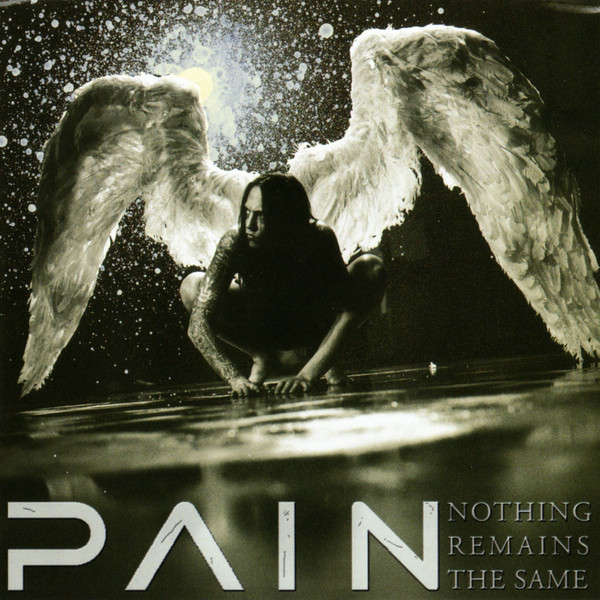 Pain Nothing Remains the Same cover artwork