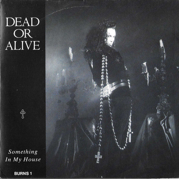 Dead Or Alive — Something in My House cover artwork