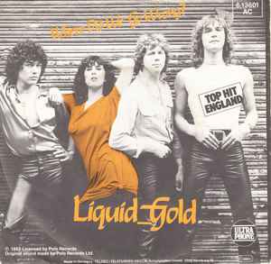 Liquid Gold — Where Did We Go Wrong? cover artwork