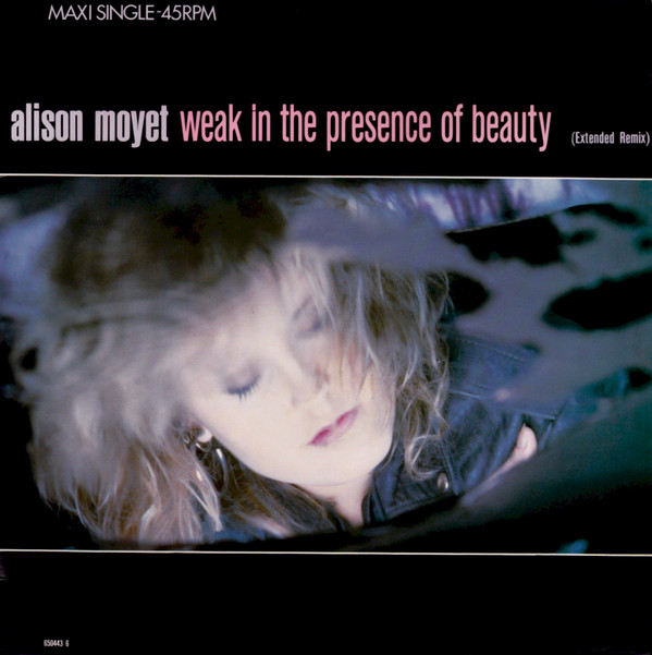 Alison Moyet Weak in the Presence of Beauty cover artwork