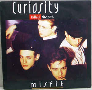Curiosity Killed the Cat — Misfit cover artwork