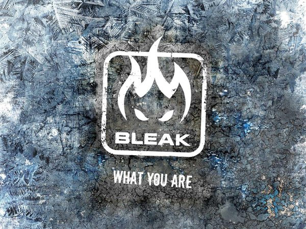 Bleak — What You Are cover artwork