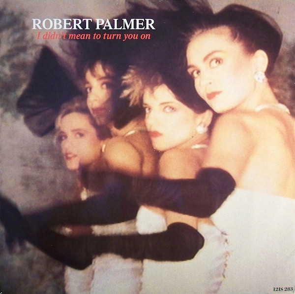 Robert Palmer I Didn&#039;t Mean to Turn You On cover artwork