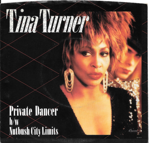 Tina Turner — Private Dancer cover artwork