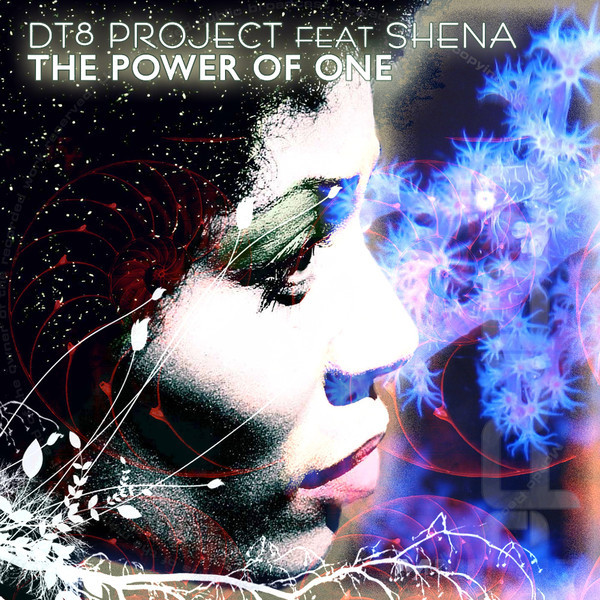 DT8 Project featuring Shèna — The Power Of One cover artwork