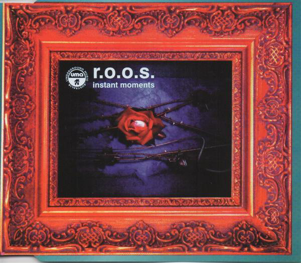R.O.O.S — Instant Moments cover artwork