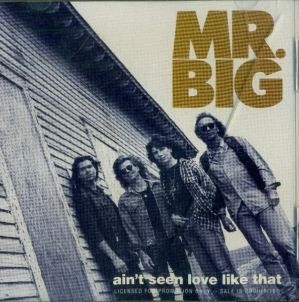 Mr. Big — Ain&#039;t Seen Love Like That cover artwork